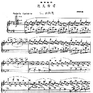 花儿拾零 二 水红花 钢琴谱 盛宗亮