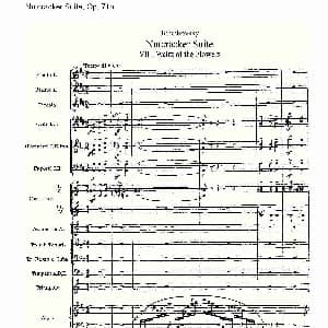 Nutcracker Suite, Op.71a 胡桃夹套曲 Op.71a 第八章