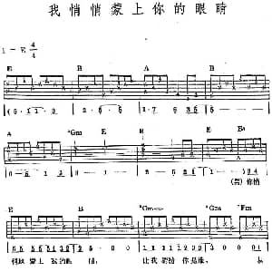 民族吉他弹唱 我悄悄蒙上你的眼睛 吉他谱
