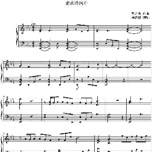 走在冷风中 钢琴谱 王于陞