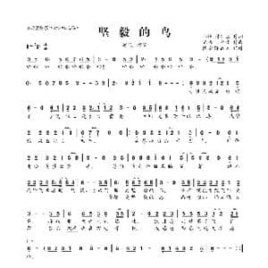 坚毅的鸟_歌曲简谱_词曲:祁隆/陈红卫 陈伟/祁隆