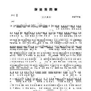 你是我的眼_歌谱投稿_词曲:萧煌奇 萧煌奇