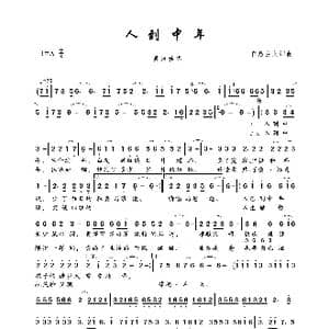 人到中年_歌曲简谱_词曲:自然主义 自然主义