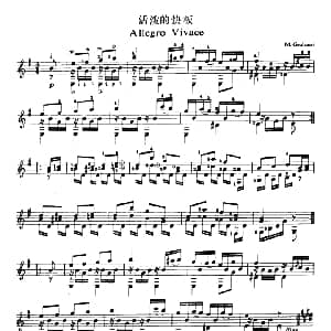 活泼的快板 吉他谱