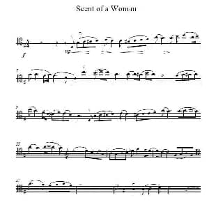 Scent of a Woman 闻香识女人 大提琴