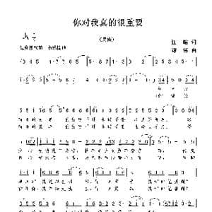 你对我真的很重要_歌曲简谱_词曲:江皓 谢伟