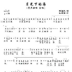 月光下的海_歌曲简谱_词曲:陈道斌 姚晓强