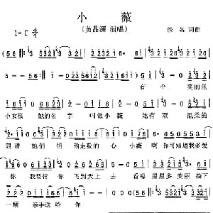 小薇_通俗唱法乐谱_词曲:阿弟 阿弟