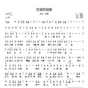 美丽的相逢_歌曲简谱_词曲:王春美 王馨