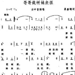 哥哥栽树妹来采_民歌简谱_词曲:吴善翎 生茂