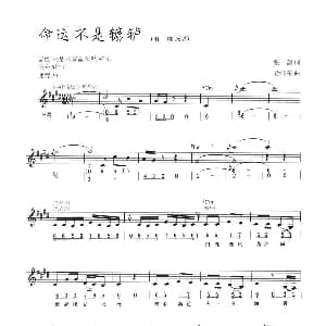 电子琴谱 | 命运不是辘轳 线简混排弹唱谱 张藜 徐沛东