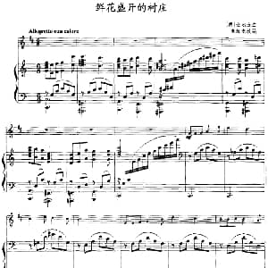 鲜花盛开的村庄 小号 钢琴伴奏 朝 金永道曲 朱起东改编