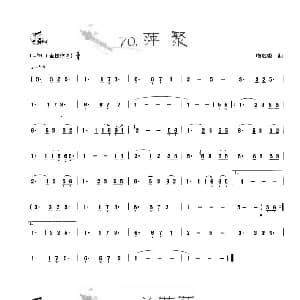 葫芦丝谱 | 葫芦丝曲精选 萍聚 兰花草 王甲坤 王甲华编著