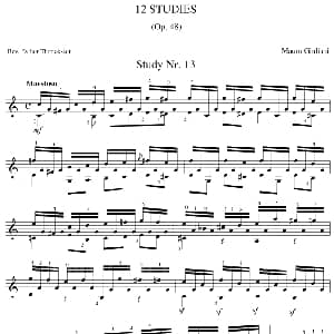 Mauro Giuliani 12 Studies,Op.48 吉他谱