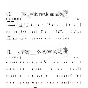 葫芦丝谱 | 葫芦丝曲精选 渔家姑娘在海边 有一个美丽的地方 王甲坤 王甲华编著