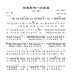 你是我唯一的执着_歌曲简谱_词曲:马健涛 马健涛