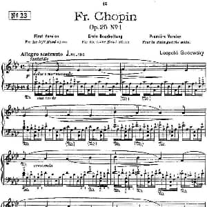 53首改编练习曲 钢琴谱 里奥鲍尔德 戈多夫斯基