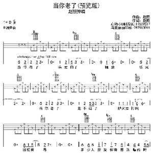 当你老了_歌曲简谱_词曲:赵照 赵照