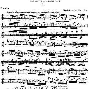 长笛曲谱 | 斯勒新老风格长笛练习重奏曲 第四部分 NO.22 Siegfried Thiele S. 斯勒