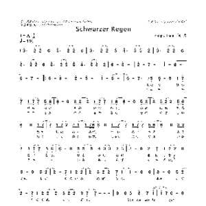 日/德 Schwarzer Regen_歌曲简谱_词曲:regulus regulus