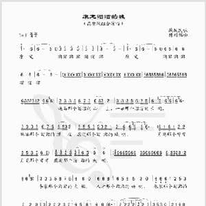 康定溜溜的城_歌谱投稿