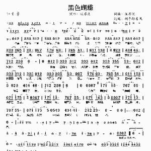 黑色蝴蝶_歌谱投稿_词曲:汪苏泷 汪苏泷