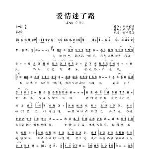 爱情迷了路_歌曲简谱_词曲:宁静致远 王梦秋