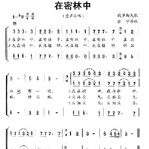 在密林中 俄罗斯 _外国歌谱_词曲: 张宁 译配