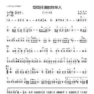 可可西里牧羊人_歌曲简谱_词曲: 王琪