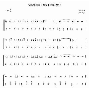 古筝谱 | 月光下的凤尾竹 施光南曲 刘喜改编