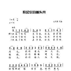 掀起你的盖头来_歌曲简谱_词曲:王洛宾 王洛宾