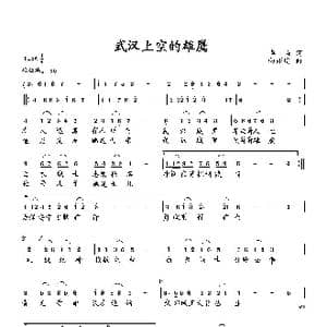 武汉上空的雄鹰_歌曲简谱_词曲:华崛 向邦瑜