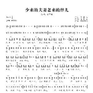 少来的夫妻老来的伴儿_歌曲简谱_词曲:崔伟立 崔伟立
