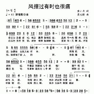 风擦过有时也很痛_通俗唱法乐谱