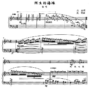 陌生的海滩_美声唱法乐谱_词曲:北岛 赵峻