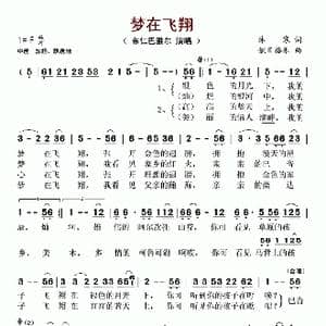 梦在飞翔_歌谱投稿_词曲:沐寒 傲日格乐