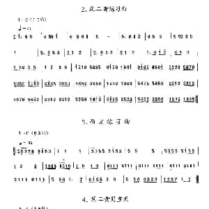 反二黄练习曲 西皮练习曲 反二黄哭皇天 京胡