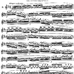 长笛曲谱 | 柯勒30首高级长笛练习曲作品75号 NO.3 Kohler 柯勒