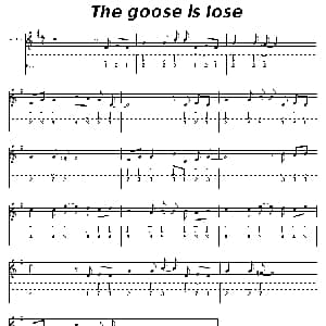 口琴谱 | The goose is lose 布鲁斯
