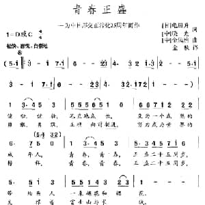 青春正盛_通俗唱法乐谱_词曲:龟田升 日 晓光 中 金风浩