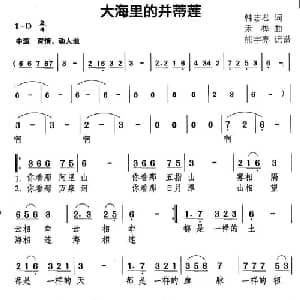 大海里的并蒂莲_通俗唱法乐谱_词曲:韩志军