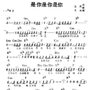 是你是你是你_通俗唱法乐谱_词曲:王杰 王杰