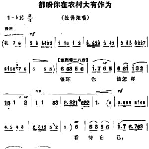 豫剧谱 | 都盼你在农村大有作为 朝阳沟 拴保娘唱段