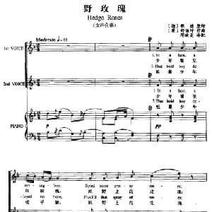 野玫瑰 德 奥 _外国歌谱_词曲: 德 歌德 原诗 奥 舒伯特曲 邓映易译配