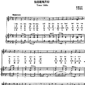 我怎能离开你 德国 _外国歌谱_词曲:斤田译词 德国民歌