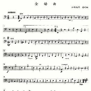 金婚曲 加布瑞尔马利作曲版 四重奏大提琴分谱