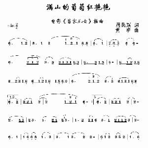 葫芦丝谱 | 满山的葡萄红艳艳 黄淮