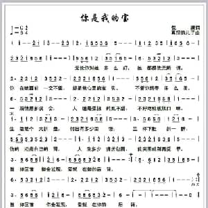 你是我的宝_通俗唱法乐谱_词曲:倪康 真理的儿子