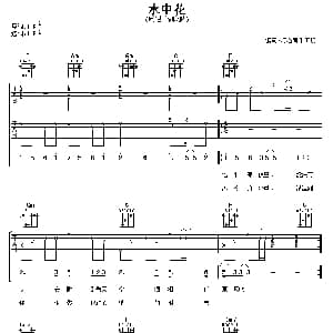 水中花 吉他谱 谭咏麟