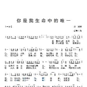 你是我生命中的唯一_歌曲简谱_词曲:以诺 香草山